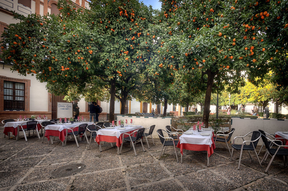 Hotel Dona Lina Sevilla Exteriér fotografie